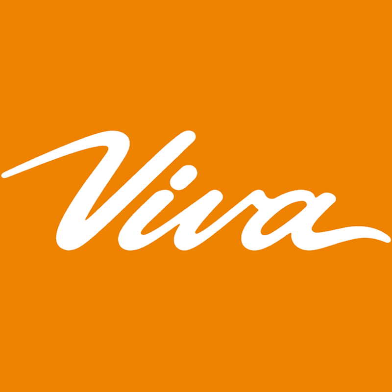 Viva -10岁viva的Ai数字世界